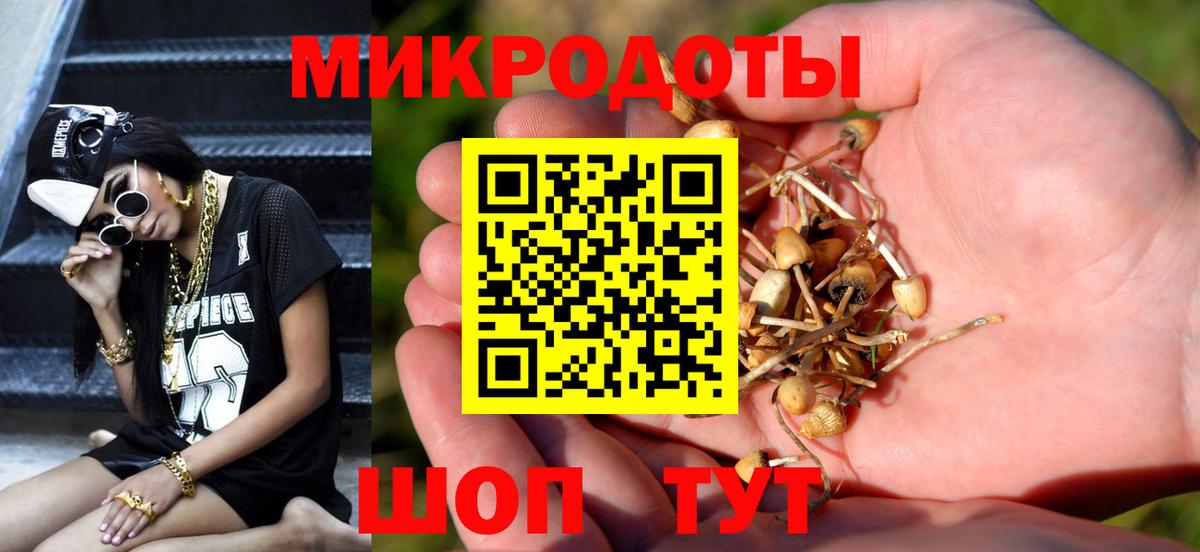 Галлюциногенные грибы GOLDEN TEACHER Светлоград