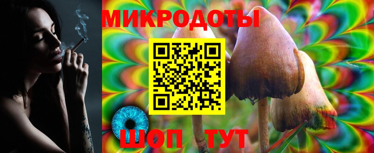 Светлоград  Галлюциногенные грибы Psilocybine cubensis  Вход с VPN  Псилоцибиновые грибы Psilocybine cubensis 